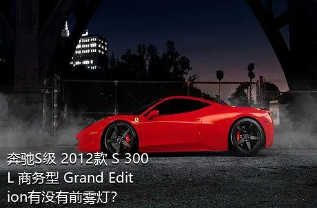 奔驰S级 2012款 S 300 L 商务型 Grand Edition有没有前雾灯？