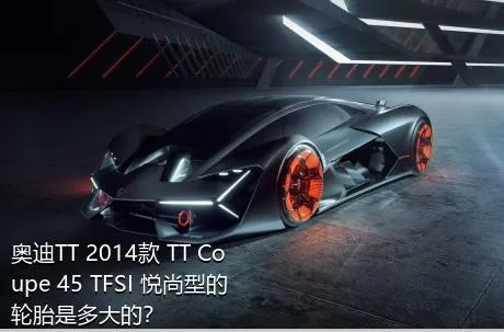 奥迪TT 2014款 TT Coupe 45 TFSI 悦尚型的轮胎是多大的？