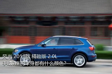 风尚 2011款 精致版 2.0L 手动7座的车身都有什么颜色？