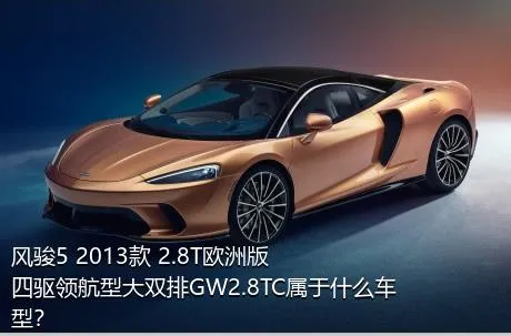 风骏5 2013款 2.8T欧洲版 四驱领航型大双排GW2.8TC属于什么车型？