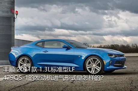 丰顺 2011款 1.3L标准型LF479Q5-1的发动机进气形式是怎样的？