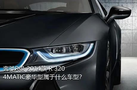 奔驰R级 2014款 R 320 4MATIC豪华型属于什么车型？