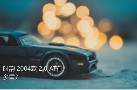 时韵 2004款 2.0 AT有多重？