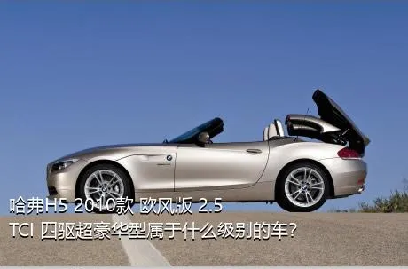 哈弗H5 2010款 欧风版 2.5TCI 四驱超豪华型属于什么级别的车？