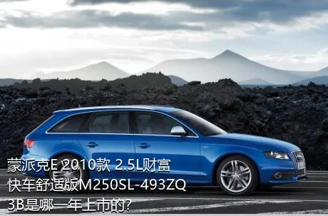 蒙派克E 2010款 2.5L财富快车舒适版M250SL-493ZQ3B是哪一年上市的？