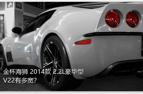 金杯海狮 2014款 2.2L豪华型V22有多宽？