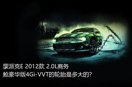 蒙派克E 2012款 2.0L商务舱豪华版4Gi-VVT的轮胎是多大的？