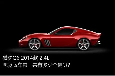 猎豹Q6 2014款 2.4L 两驱版车内一共有多少个喇叭？