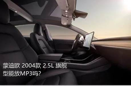 蒙迪欧 2004款 2.5L 旗舰型能放MP3吗？