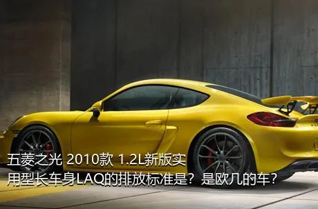 五菱之光 2010款 1.2L新版实用型长车身LAQ的排放标准是？是欧几的车？