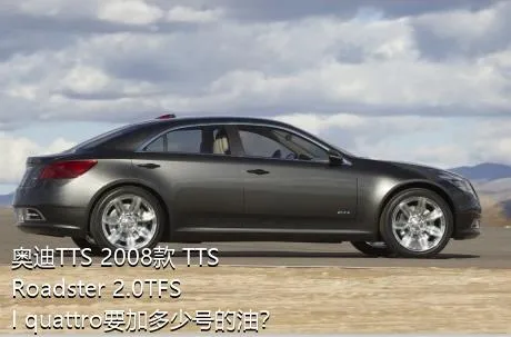 奥迪TTS 2008款 TTS Roadster 2.0TFSI quattro要加多少号的油？