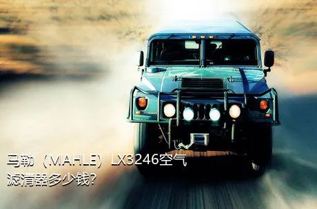 马勒（MAHLE）LX3246空气滤清器多少钱？