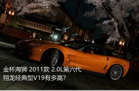 金杯海狮 2011款 2.0L第六代翔龙经典型V19有多高？