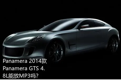 Panamera 2014款 Panamera GTS 4.8L能放MP3吗？