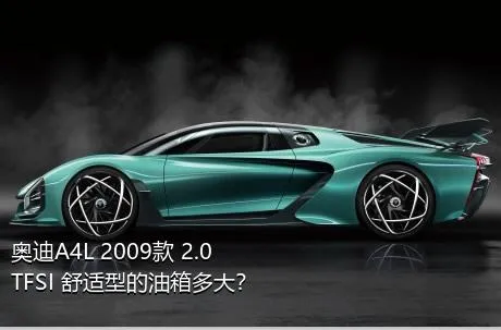 奥迪A4L 2009款 2.0 TFSI 舒适型的油箱多大？