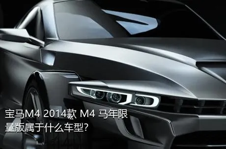 宝马M4 2014款 M4 马年限量版属于什么车型？