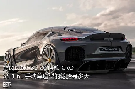 东风风神H30 2014款 CROSS 1.6L 手动尊逸型的轮胎是多大的？