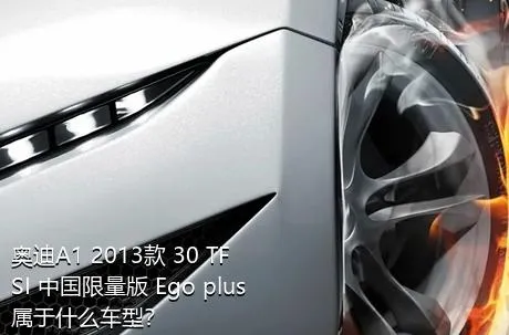 奥迪A1 2013款 30 TFSI 中国限量版 Ego plus属于什么车型？