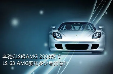 奔驰CLS级AMG 2008款 CLS 63 AMG要加多少号的油？