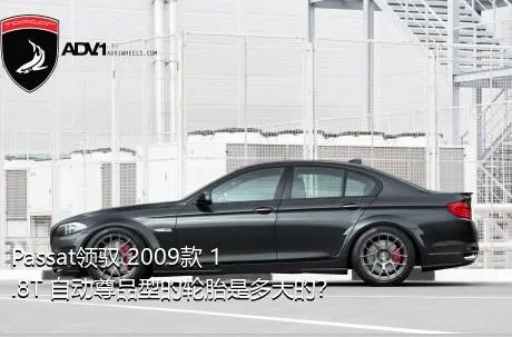 Passat领驭 2009款 1.8T 自动尊品型的轮胎是多大的？