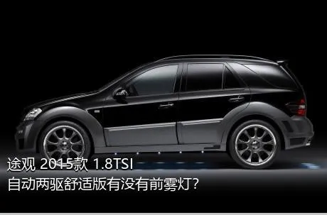 途观 2015款 1.8TSI 自动两驱舒适版有没有前雾灯？