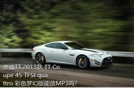 奥迪TT 2013款 TT Coupe 45 TFSI quattro 彩色梦幻版能放MP3吗？