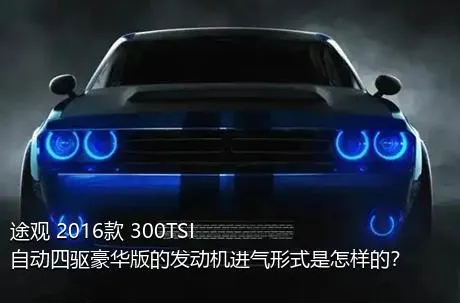 途观 2016款 300TSI 自动四驱豪华版的发动机进气形式是怎样的？