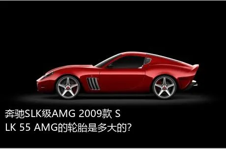 奔驰SLK级AMG 2009款 SLK 55 AMG的轮胎是多大的？