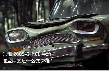 乐驰 2009款 1.0L 手动标准型用的是什么变速箱？