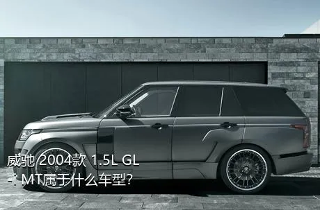 威驰 2004款 1.5L GL-i MT属于什么车型？